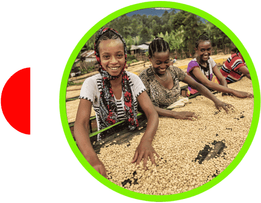 Campesinas de café en Etiopía Sidamo Nansebo