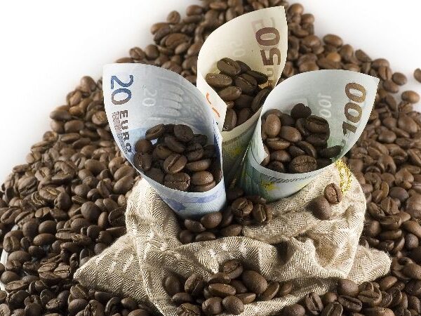 Granos de cafés más costosos