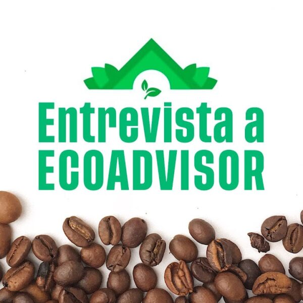 Ecoadvisor